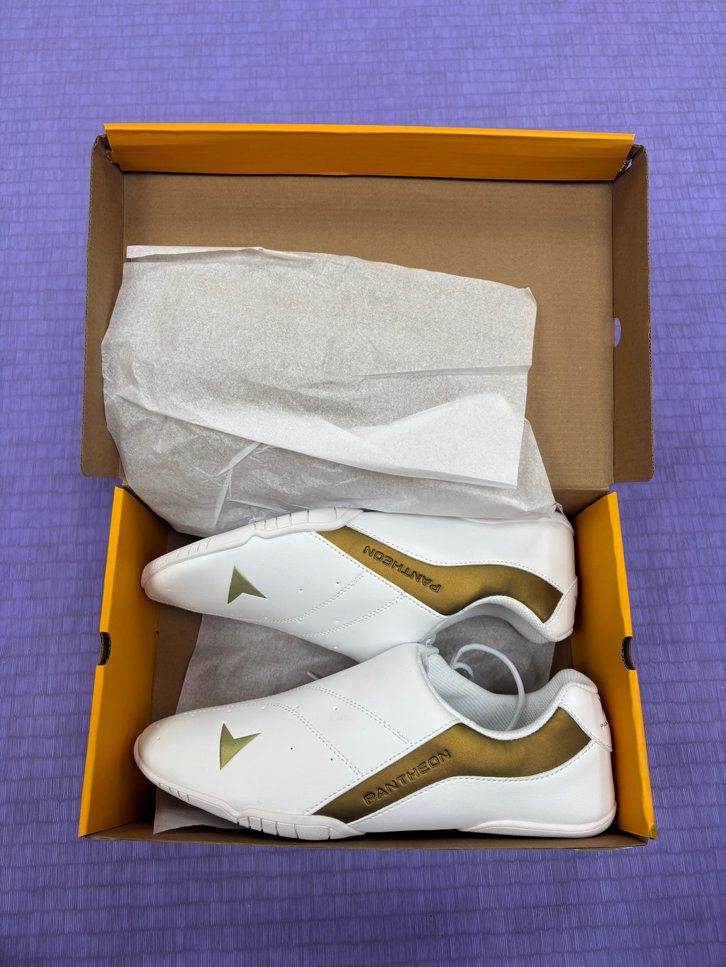 Pantheon Dreamers Shoe – Gold Edition Pantheon France