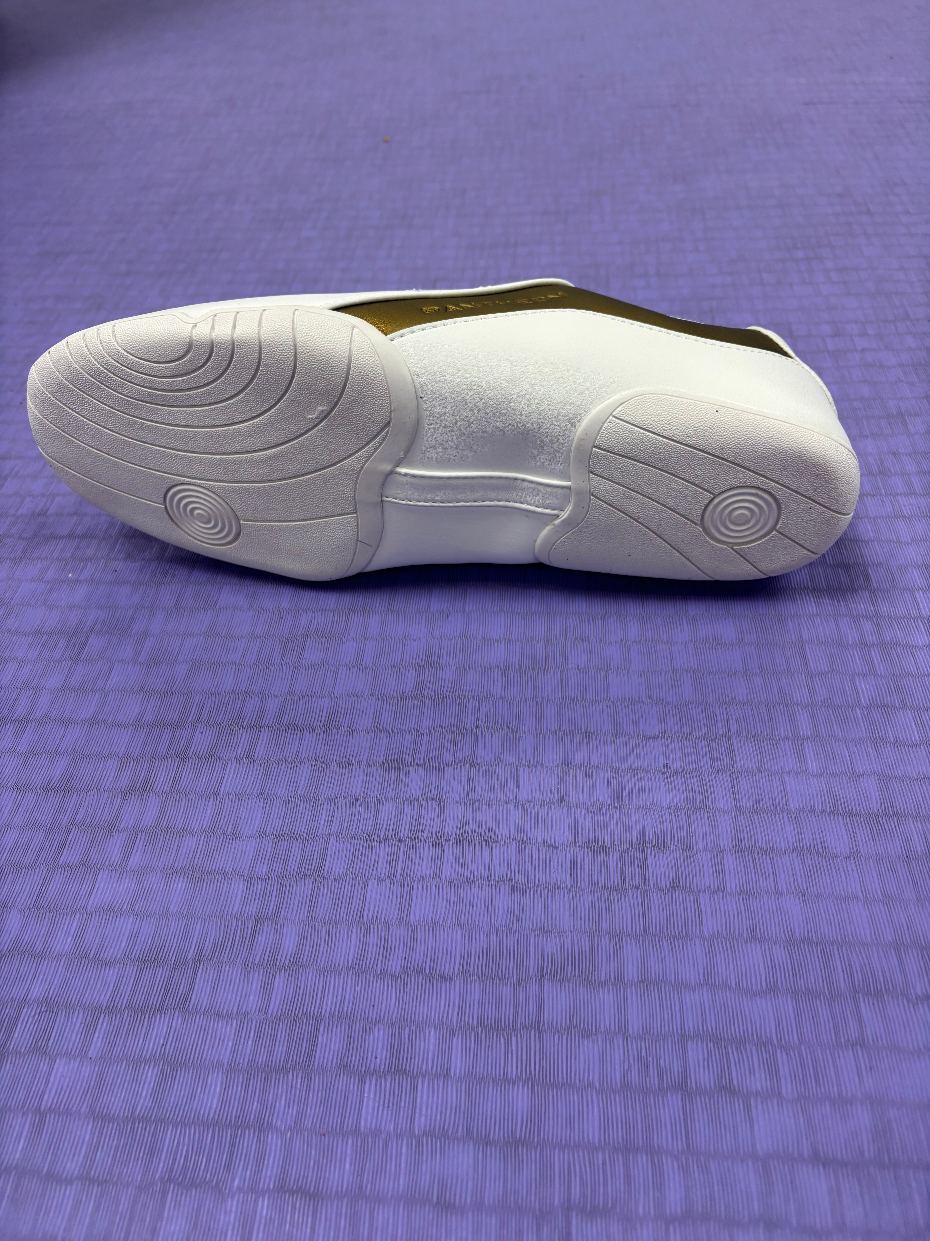 Pantheon Dreamers Shoe – Gold Edition Pantheon France