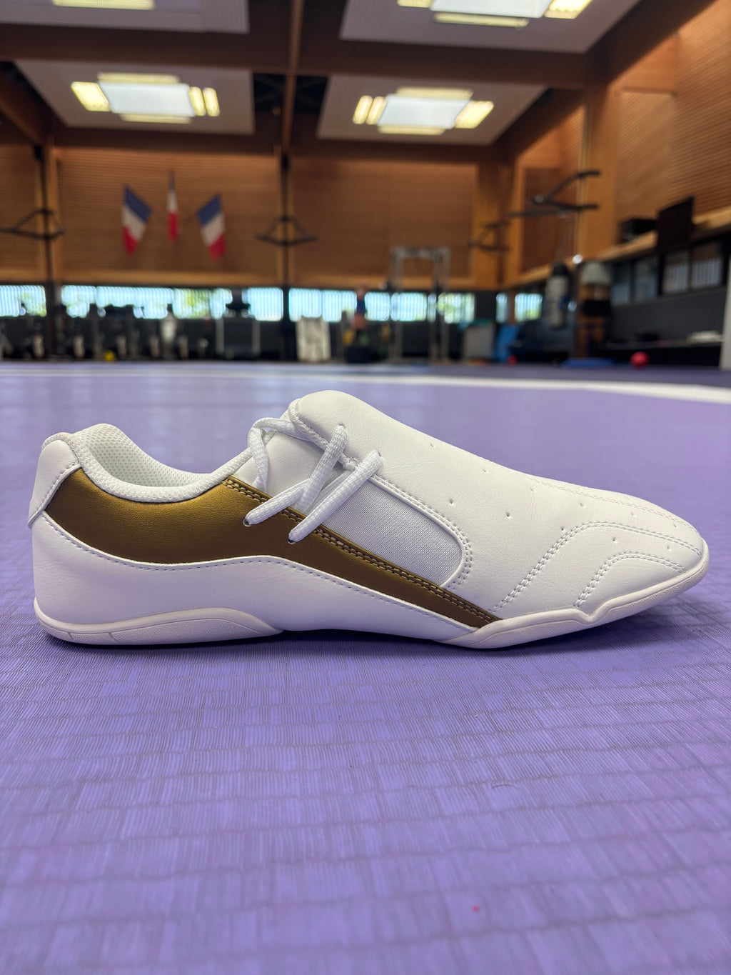 Pantheon Dreamers Shoe – Gold Edition Pantheon France