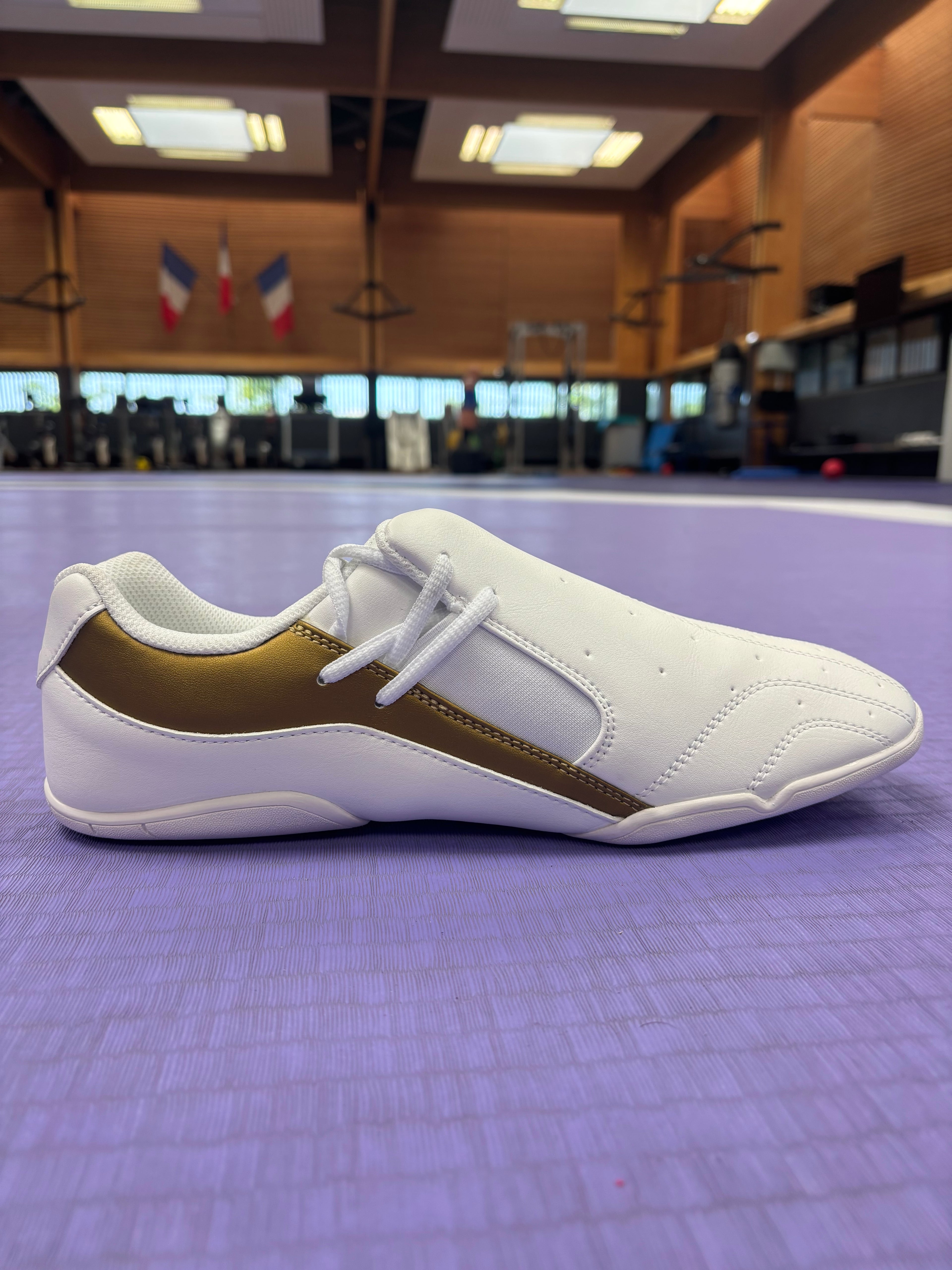 Pantheon Dreamers Shoe – Gold Edition Pantheon France