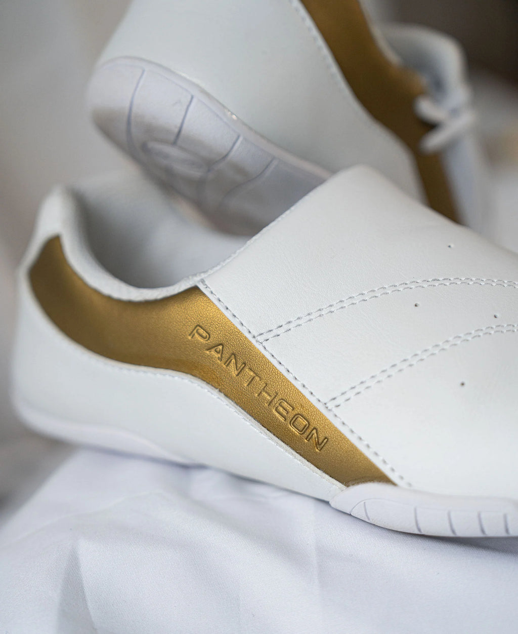 Pack Arm & Foot Control – Gold Pantheon France