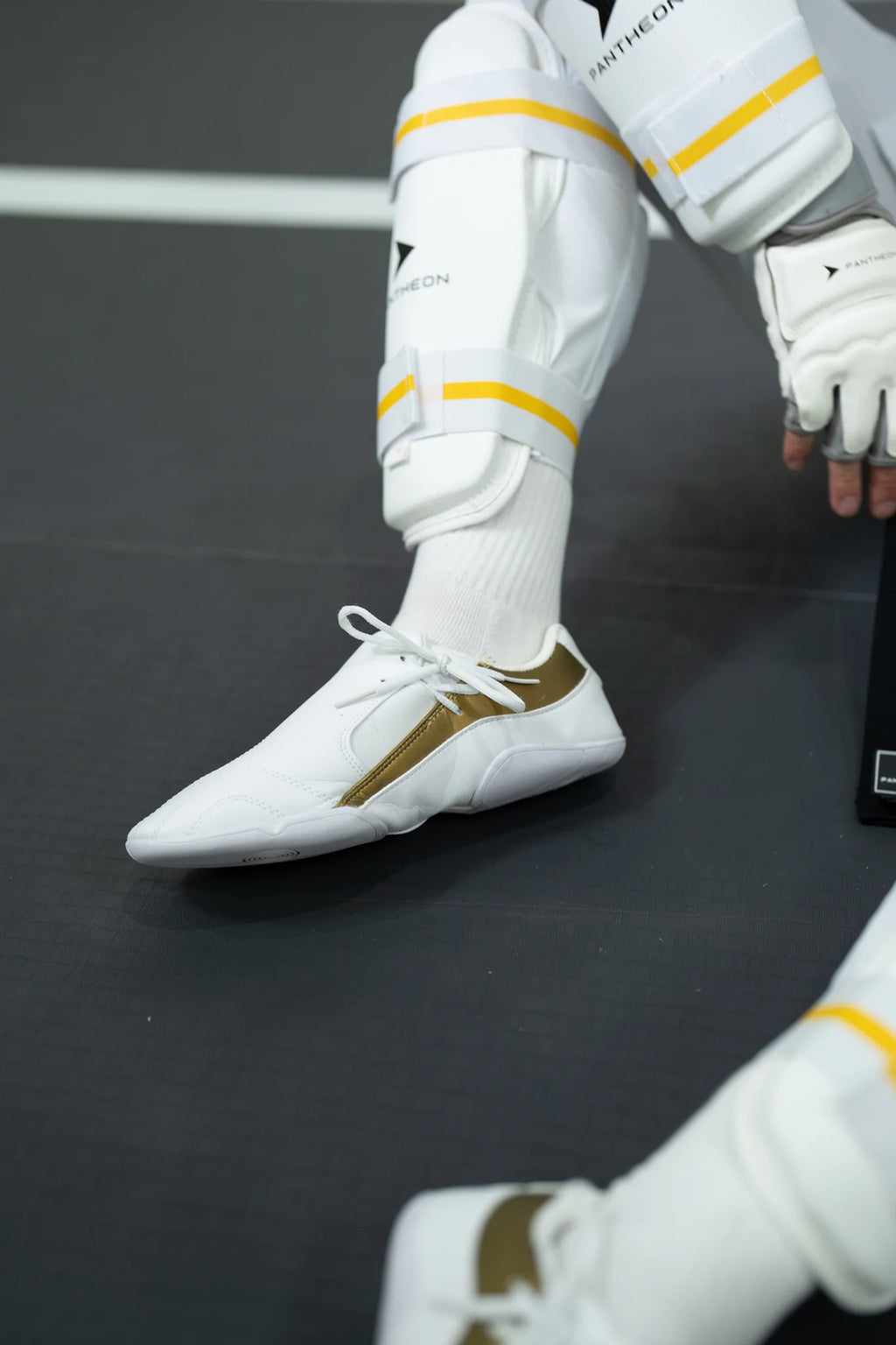 Pantheon Dreamers Shoe – Gold Edition Pantheon France