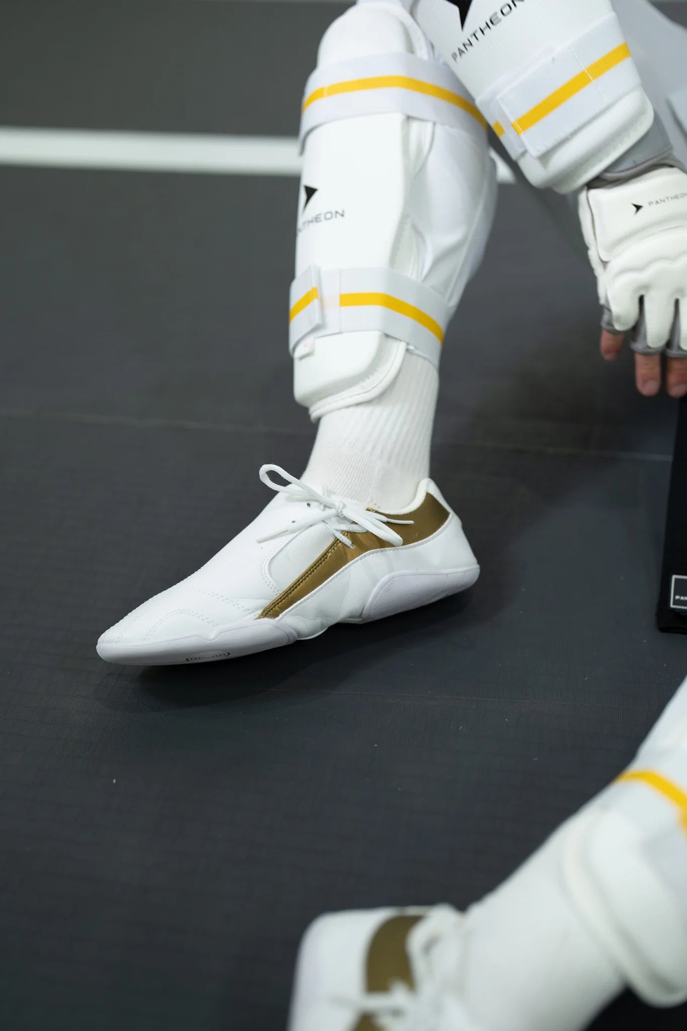 Pantheon Dreamers Shoe – Gold Edition Pantheon France